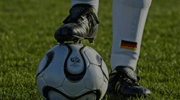 德甲录像  2023年11月12日 拜仁慕尼黑vs海登海姆比赛视频完整直播回看
